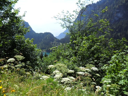 10-Lac-de-Tanay-au-fond.JPG