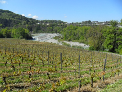 Vignes-de-Marin-015.jpg