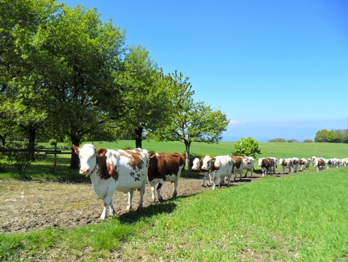 Vignes-de-Marin-056.jpg